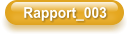 Rapport_003